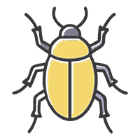 Уничтожение кожеедов